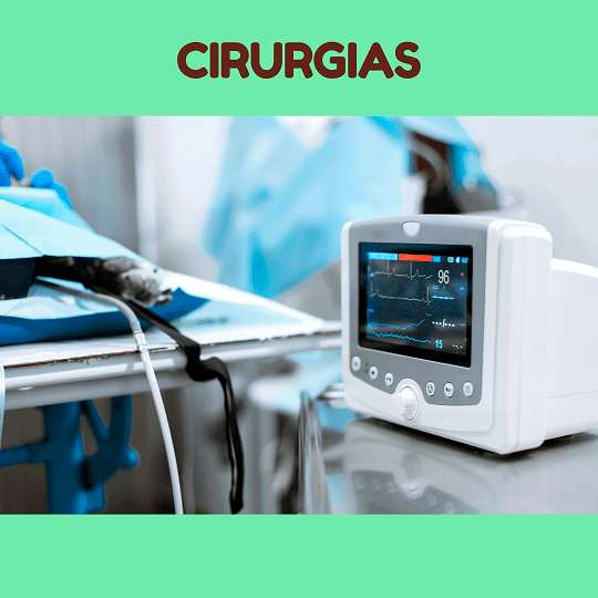 Cirurgias Veterinárias