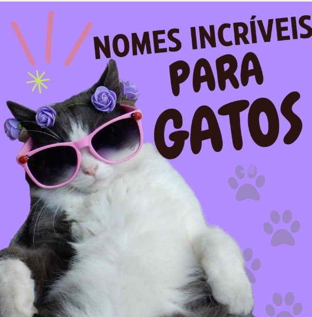 Nomes Incríveis para Gatos - Ideias criativas para seu felino